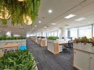 Cần cho thuê 100m2 giá thuê từ 205nghìn/1m2/1 tháng làm văn phòng tại trung hòa, cầu giấy, hà nội