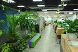 Cần cho thuê 100m² làm văn phòng tại yên hòa, cầu giấy, hà nội