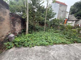 Đất Giao Tất A Kim Sơn diện tích 43m2 giá nhỉnh 2 tỷ 