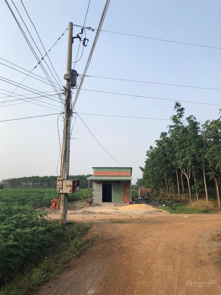 Cần bán 19105.6m2 tại ấp hội thành, tân hội, giá chỉ 4,5 tỷ
