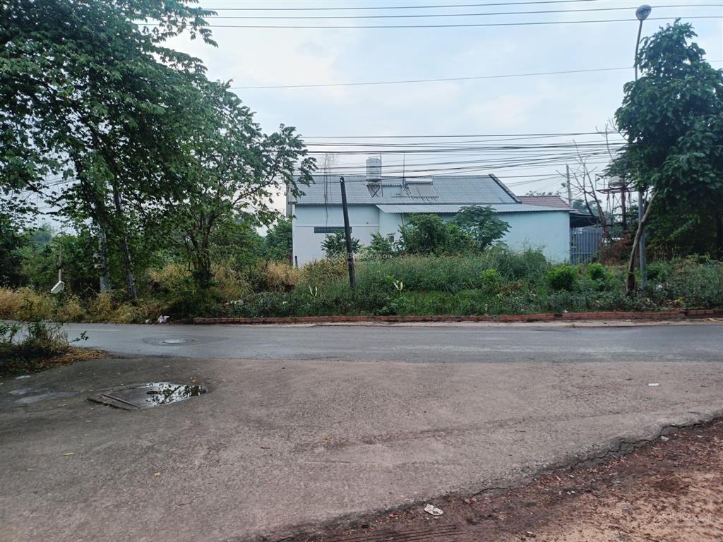 Cần bán 2300m2 đất mặt tiền đường long phước