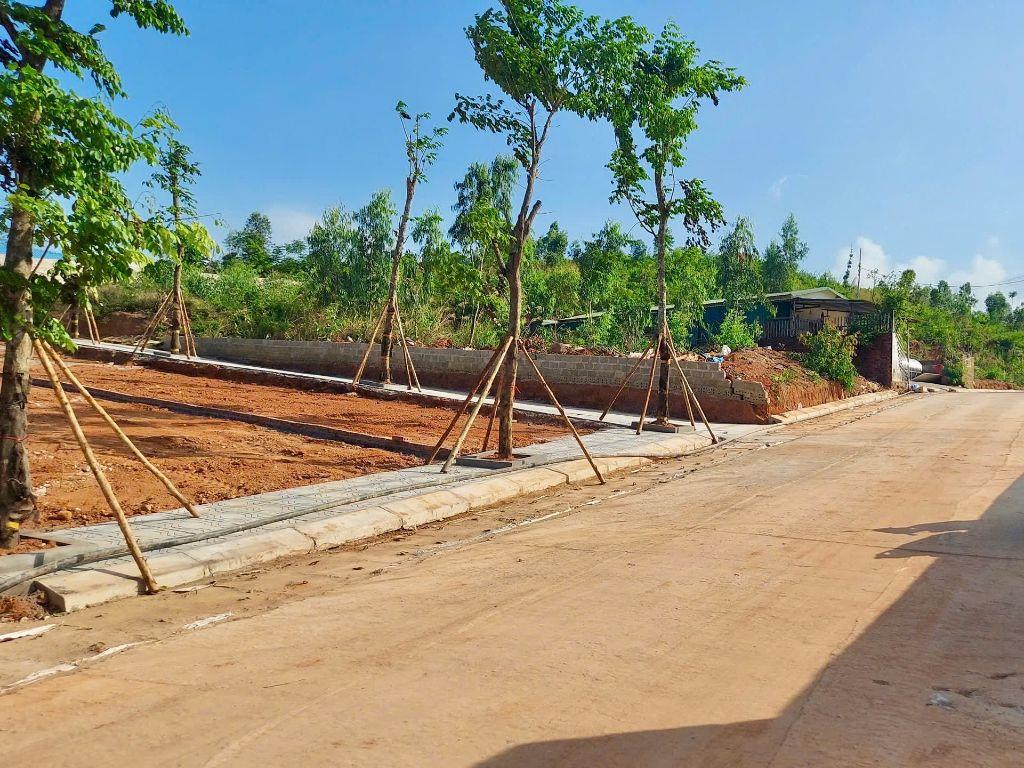 CẦN BÁN NHANH ĐẤT ĐẠI YÊN 72M² - MẶT TIỀN 6M - GIÁ CHỈ 2.X TỶ ⭐