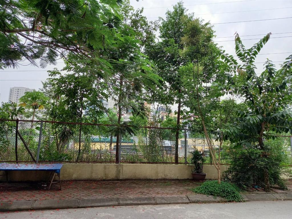 Bán đất đấu giá, đã cấp phép xây dựng