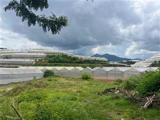 549m2 mặt tiền đa phú, p.langpiang, giá 13,5 tỷ