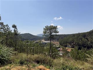 Bán đất kqh dân cư số 5 an sơn 21 tỷ 365m2, view đẹp giữa rừng thông bao quanh