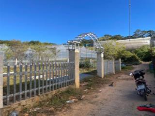 CHÍNH CHỦ BÁN ĐẤT 500M² P7 ĐÀ LẠT - SỔ HỒNG RIÊNG - GIÁ CHỈ 3 TỶ 199 TR