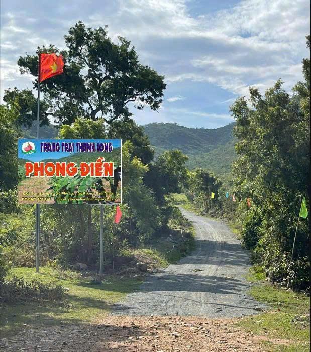 CHÍNH CHỦ CẦN TIỀN HẠ GIÁ BÁN TRANG TRẠI 17.7 Ha TẠI XÃ PHÚ LẠC, TUY PHONG, BÌNH THUẬN