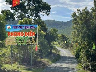 CHÍNH CHỦ CẦN TIỀN HẠ GIÁ BÁN TRANG TRẠI 17.7 Ha TẠI XÃ PHÚ LẠC, TUY PHONG, BÌNH THUẬN