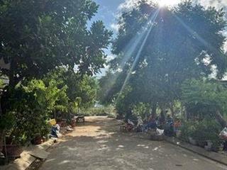 BÁN ĐẤT MẶT TIỀN NGUYỄN HÀM NINH, HÒA XUÂN, ĐÀ NẴNG - GIÁ TỐT