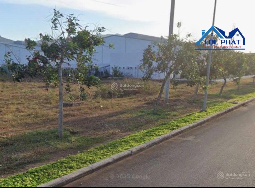 Bán đất khu công nghiệp bà rịa vũng tàu 13000m2 đã trả tiền 1 lần giá 38,9 tỷ