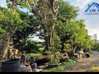 Bán đất mặt tiền đường ql51 tại xã long an, long thành, 3000m2, giá chỉ 32 tỷ