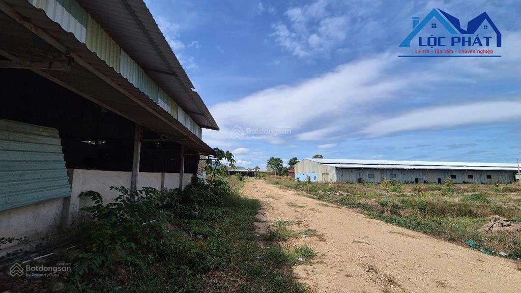 Bán đất và nhà xưởng tại huyện xuân hòa đồng nai diện tích 27,5ha giá chỉ 130 tỷ.  0933 725 ***