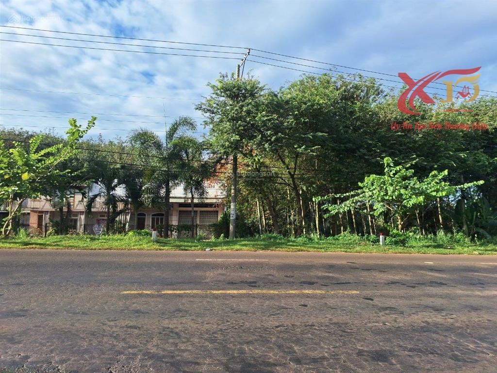 Bán đất mặt tiền đường nhựa ql56 xã xuân mỹ cẩm mỹ 6200m2 chỉ 15 tỷ  0933 725 ***