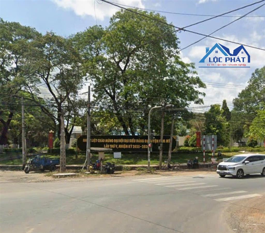 Bán vườn dừa xiêm lửa đang cho thu nhập ổn định tại cẩm mỹ  đồng nai 21000m2 chỉ 9,5 tỷ