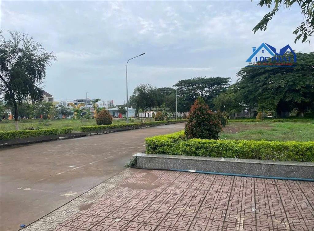 Bán vườn dừa xiêm lửa đang cho thu nhập ổn định tại cẩm mỹ  đồng nai 21000m2 chỉ 9,5 tỷ