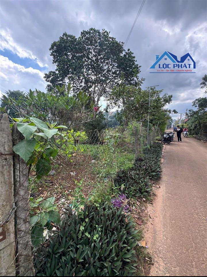 Bán đất thổ cư tại xuân mỹ cẩm mỹ đồng nai 1230 m² chỉ 7,9 tỷ