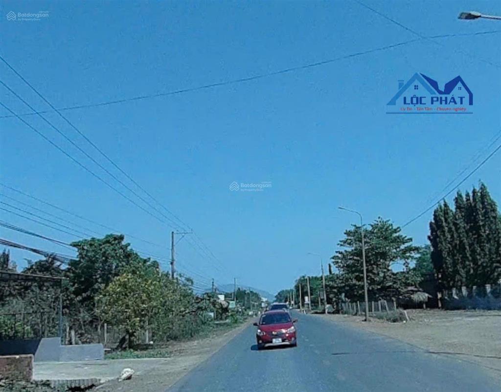 Định cư nước ngoài cần bán đất mặt tiền đường nhựa tại cẩm mỹ, tp đồng nai 2377m² giá chỉ 4,85 tỷ