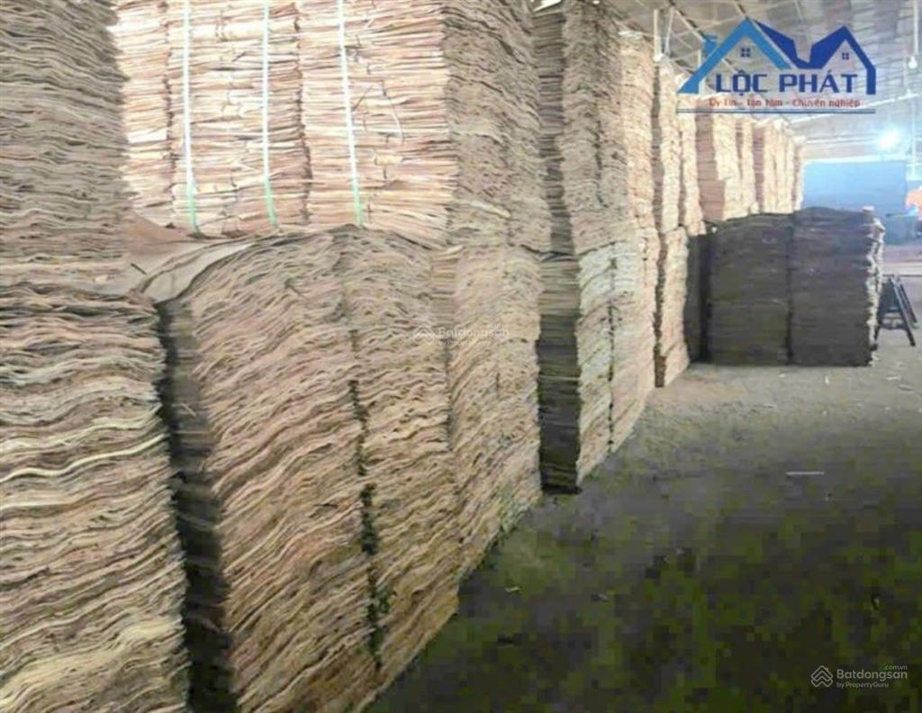 Bán nhà xưởng và đất full skc tại đồng xoài bình phước gần 9794m giá chỉ 22 tỷ