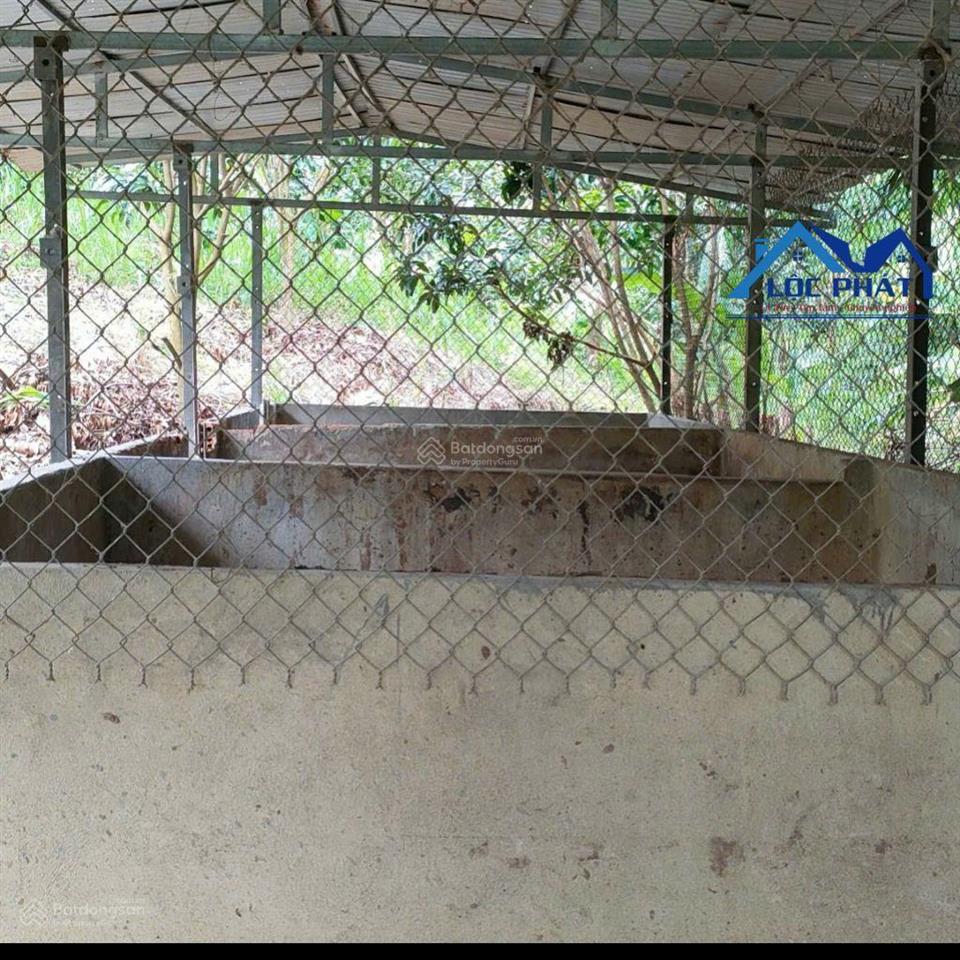 Bán lỗ lô đất vườn xoài diện tích 41.548m2 tại đinh quán tp đồng nai đang giá bán 14,2 tỷ.