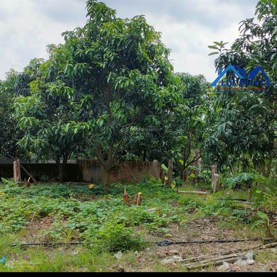 Bán lỗ lô đất vườn xoài diện tích 41.548m2 tại đinh quán tp đồng nai đang giá bán 14,2 tỷ.