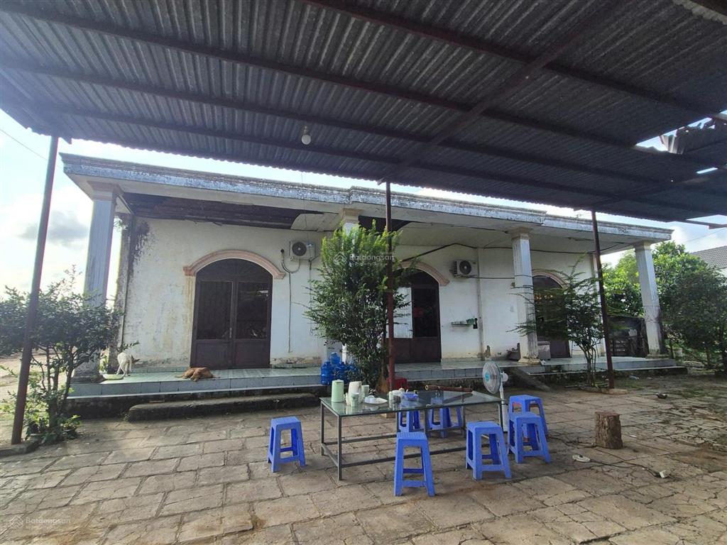 Cơ hội hiếm để sở hữu quỹ đất lớn ngay trung tâm phát triển công nghiệp và hạ tầng của tp. đồng nai