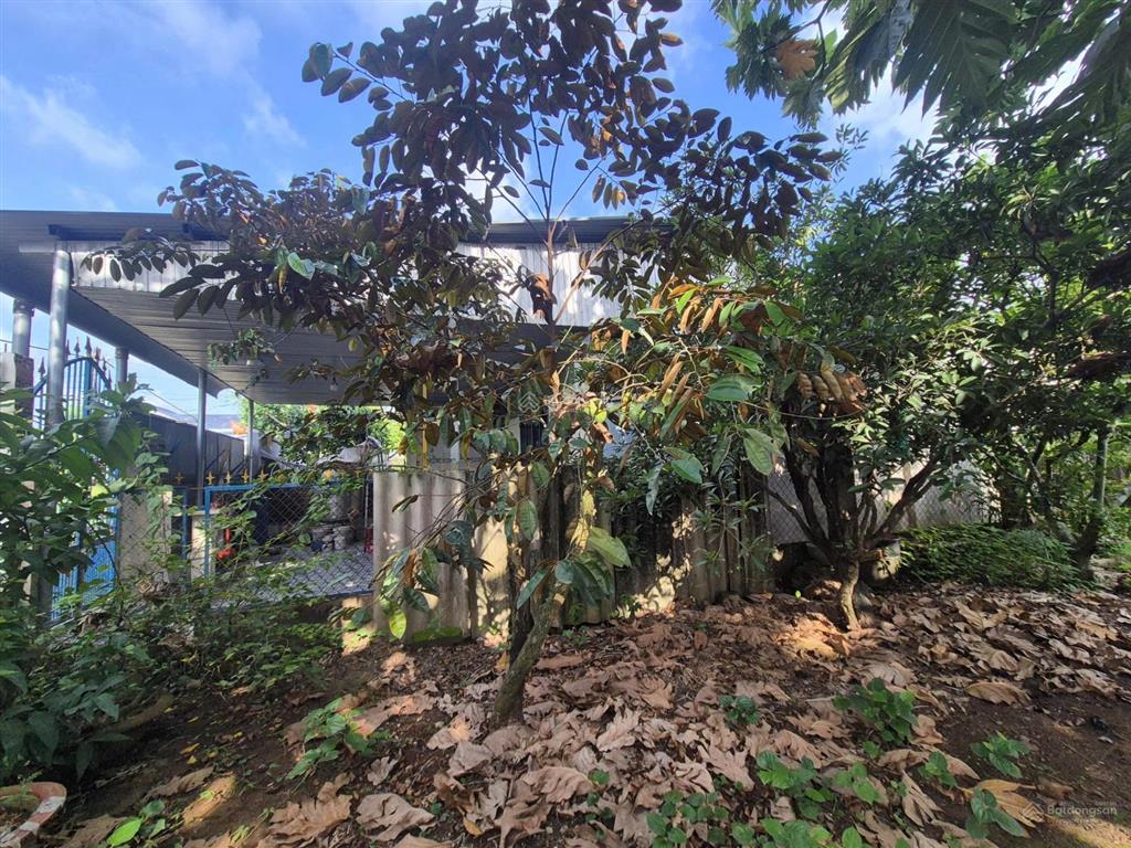 Bán đất tặng 2 căn nhà tam phước, biên hòa, đồng nai 728m2, chỉ 3,8 tỷ,  0933 725 ***