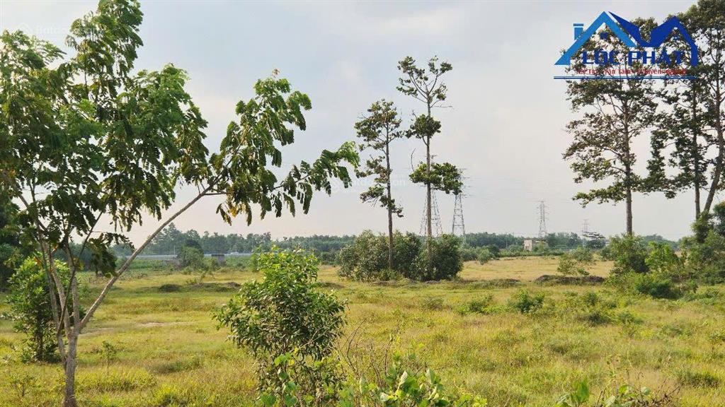Bán đất tại long thành, diện tích 15000m2, quy hoạch full skc, giá 60 tỷ giảm còn 54 tỷ