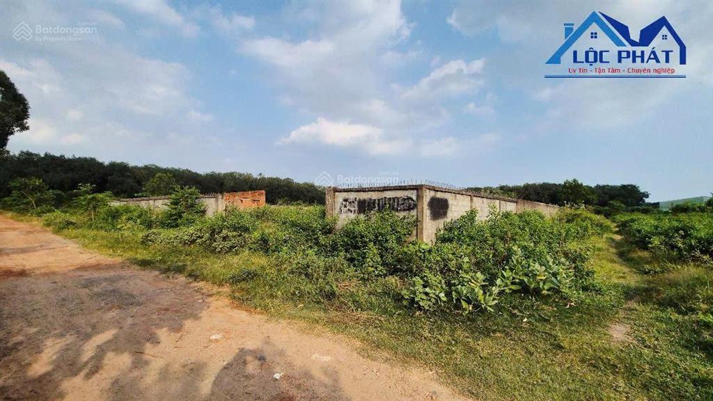 Bán đất tại long thành, diện tích 15000m2, quy hoạch full skc, giá 60 tỷ giảm còn 54 tỷ