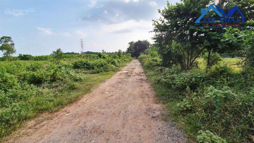 Bán đất tại long thành, diện tích 15000m2, quy hoạch full skc, giá 60 tỷ giảm còn 54 tỷ