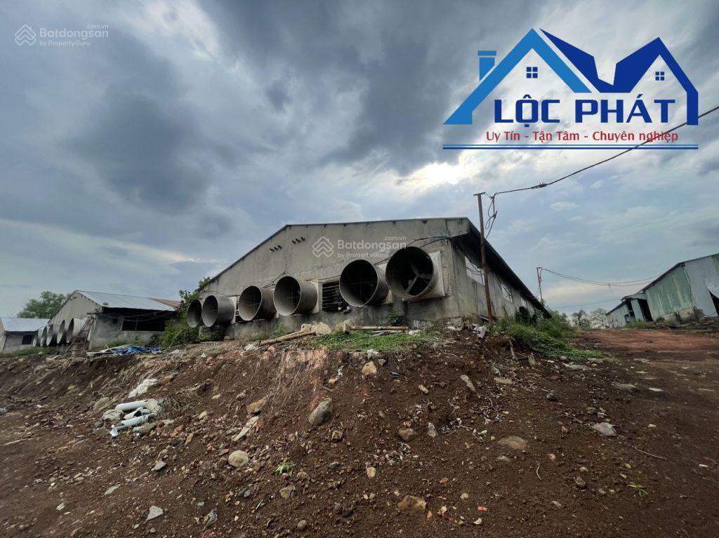 Chủ lớn tuổi cần bán đất trang trại heo trảng bom diện tích 7ha giá giảm còn 45 tỷ  0933 725 ***