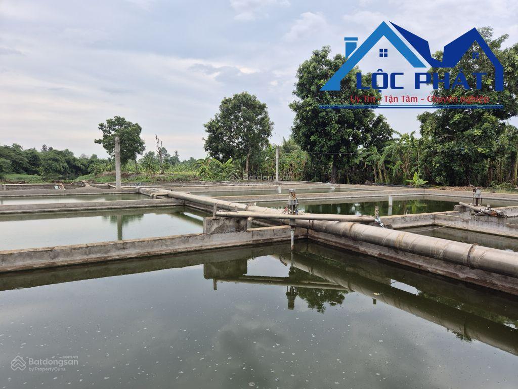 Chủ lớn tuổi cần bán đất trang trại heo trảng bom diện tích 7ha giá giảm còn 45 tỷ  0933 725 ***