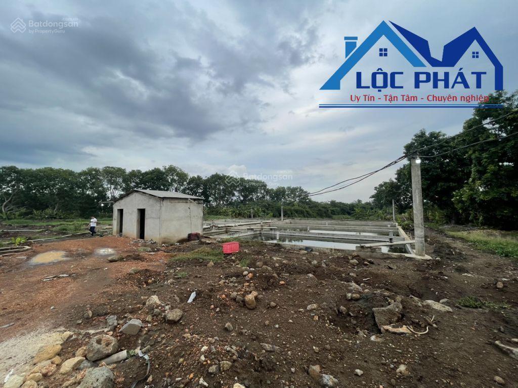 Chủ lớn tuổi cần bán đất trang trại heo trảng bom diện tích 7ha giá giảm còn 45 tỷ  0933 725 ***