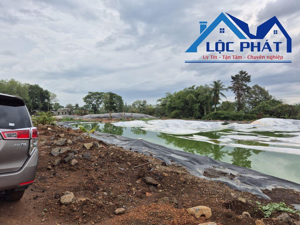 Chủ lớn tuổi cần bán đất trang trại heo trảng bom diện tích 7ha giá giảm còn 45 tỷ  0933 725 ***