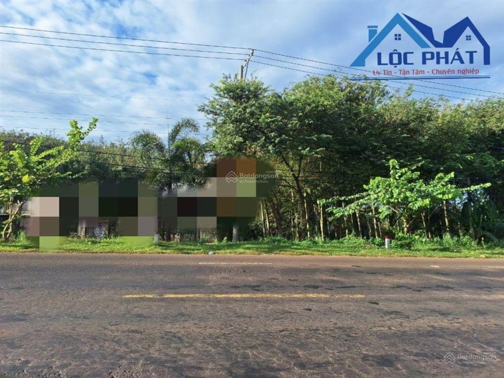 Bán đất mặt tiền đường ql56 xã xuân mỹ, huyện cẩm mỹ, đồng nai 13500m2, giá 45 tỷ