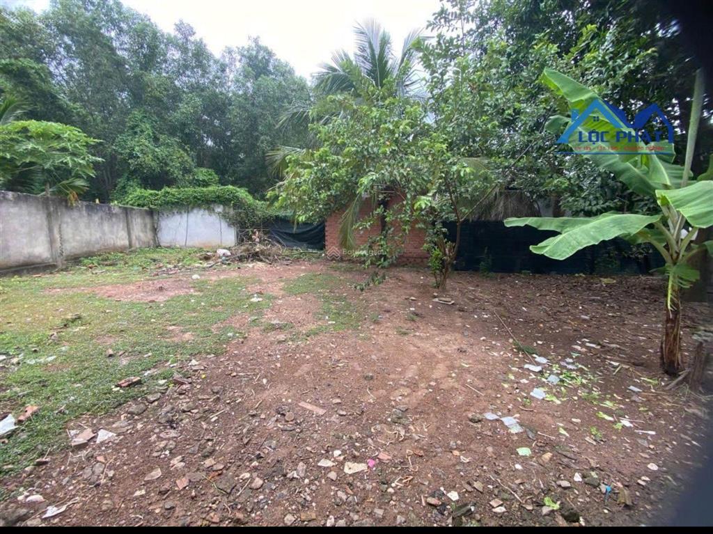 Bán đất tặng nhà mặt tiền đường bùi thị xuân phú giáo hcm 890m2 18 tỷ