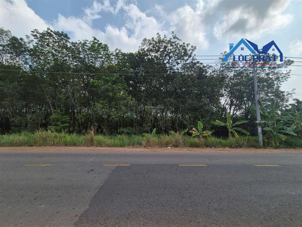 Bán đất mặt tiền đường đt746 xã tân định bắc tân uyên hcm diện tích 28.329m² giá 55 tỷ