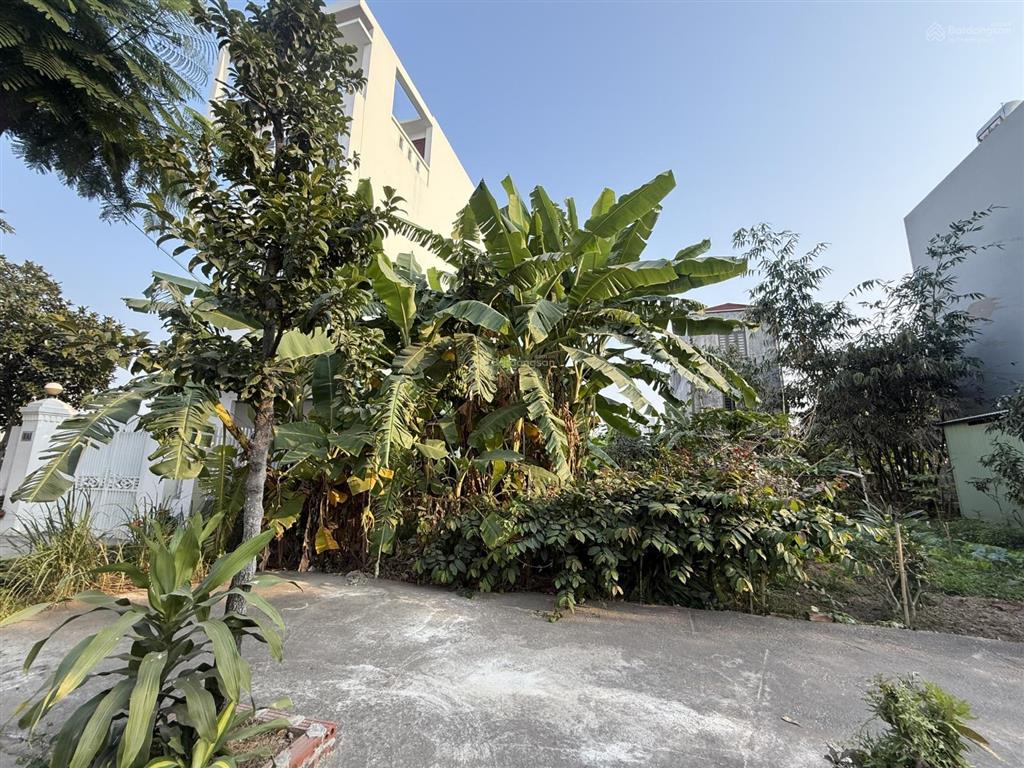 Bán đất kđt anh dũng 5 hải phòng lô lk11 diện tích 100m² giá chỉ 18 triệu/m²