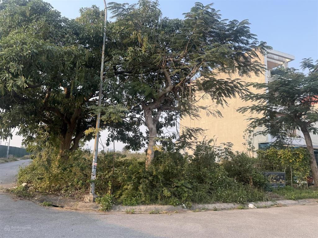 Hàng hiếm  bán lô đất 300m kđt anh dũng 5 dương kinh, hải phòng | giá tốt