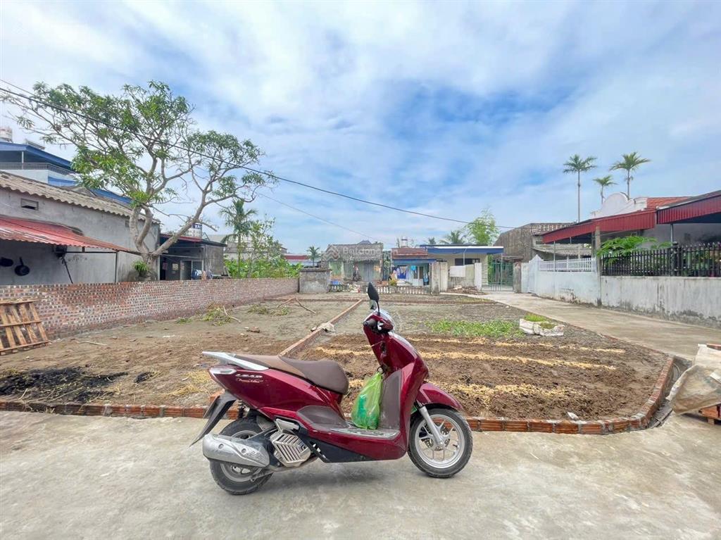 Bán đất thông câu trung, quang trung, an lão, hải phòng (nay thuộc an quang, an lão, hải phòng)