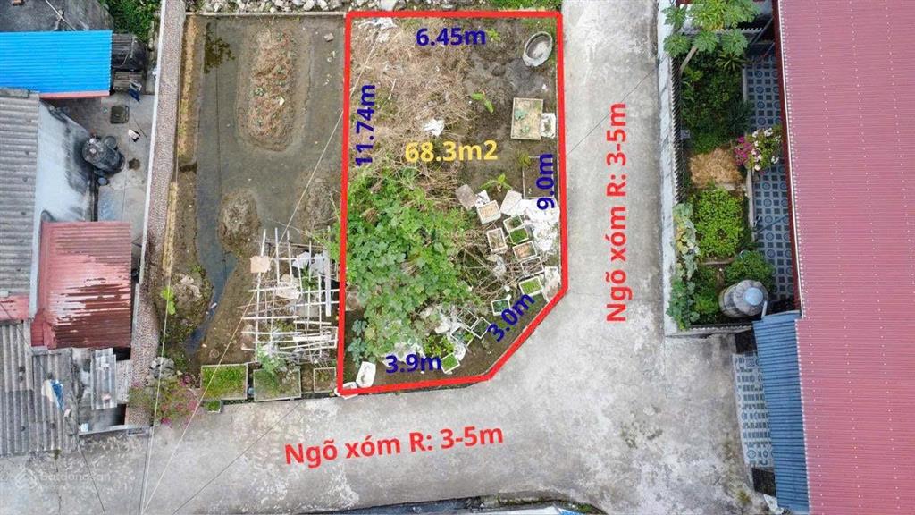 Bán đất thông câu trung, quang trung, an lão, hải phòng (nay thuộc an quang, an lão, hải phòng)