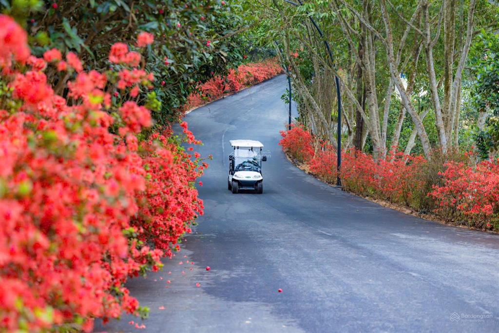 Chỉ còn 3 căn biệt thự view hồ, lưng tựa núi cạnh intercon, sổ đỏ từng căn, chiết khấu lên tới 15%