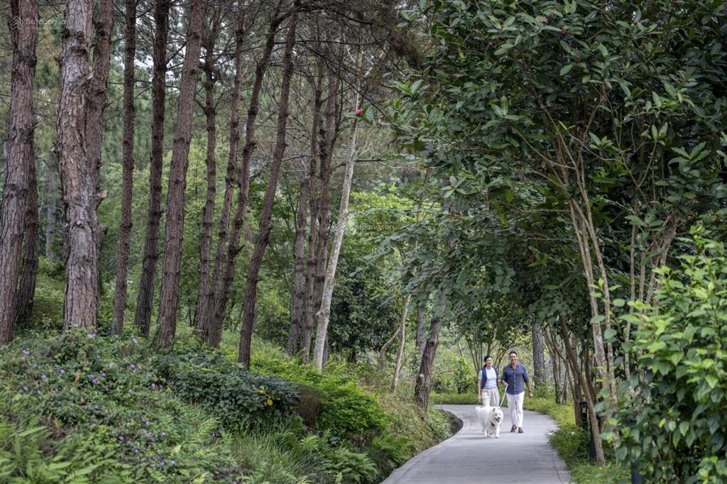 14.5 tỷ bán song lập 190/256m valleypark, cạnh country club trung tâm kết nối, hoàn thiện ở ngay