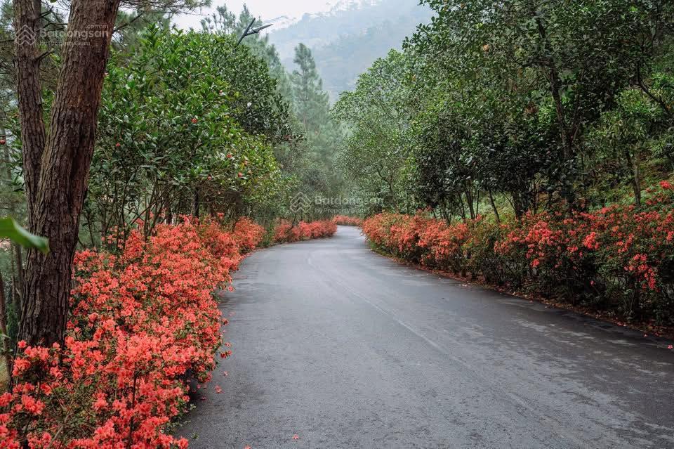 Bán biệt thự spring reshidences thanh xuân valley, view hồ thiên thanh và ks intercon, 97m, 11.5tỷ