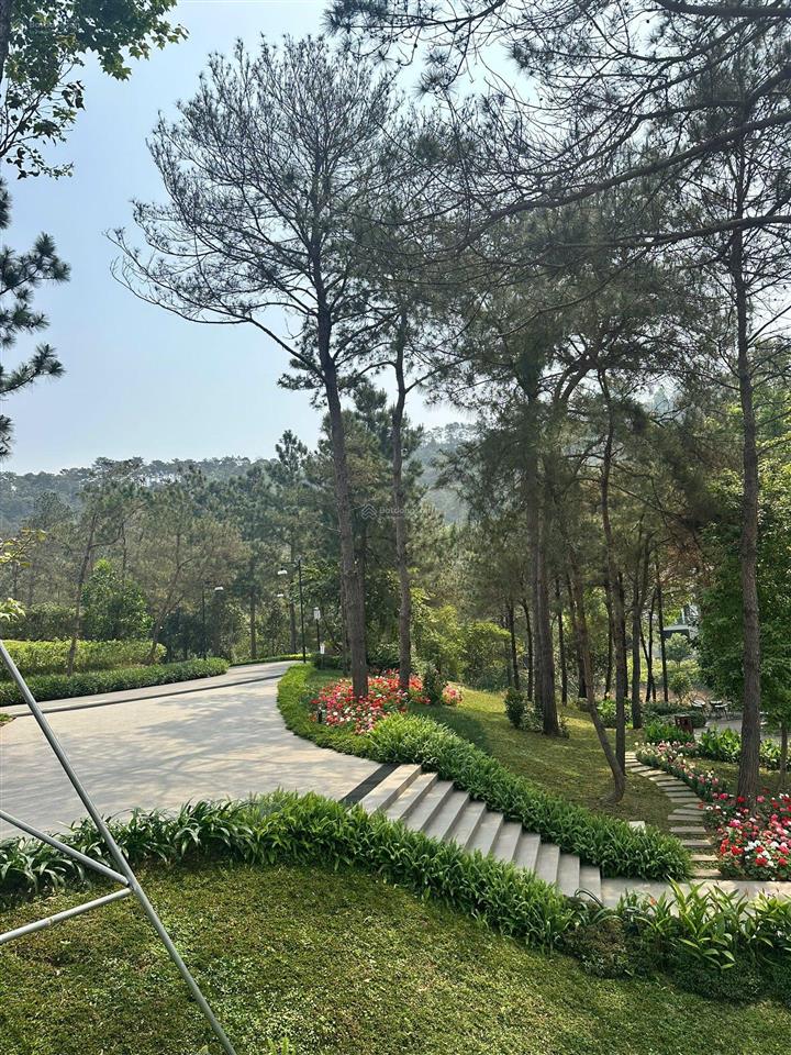 Bán biệt thự spring reshidences thanh xuân valley, view hồ thiên thanh và ks intercon, 97m, 11.5tỷ