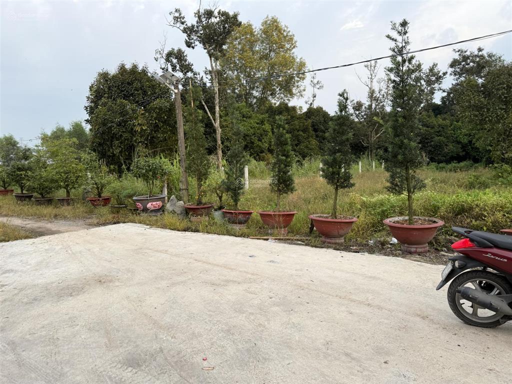 Bán đất phường an điền bến cát cũ gần ngã 3 chú lường . dt 5x30 thổ cư 60m, sổ riêng, hỗ trợ bank