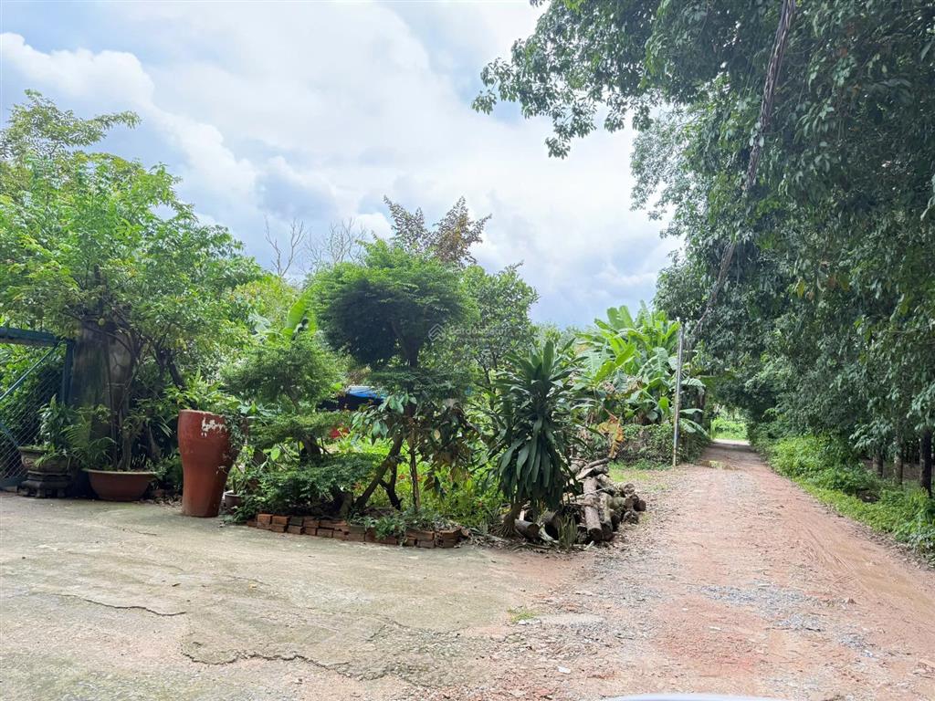 Bán đất phường thới hòa bến cát giáp mỹ phước. diện tích 6x69 (419m2) thổ cư 300m2. giá rẻ đầu tư