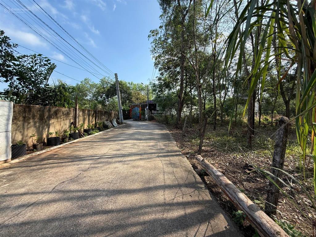 Đất mt 35m hòa lợi (tân định cũ) 3.361m2 thổ cư 300m, gần ql13, giá 12 tỷ làm kho, xây trọ cực đẹp