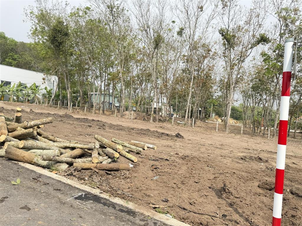 Bán đất an điền bến cát, gần đt 748, 5x21m, thổ cư 60m², đường nhựa 6m, giá 1.18 tỷ