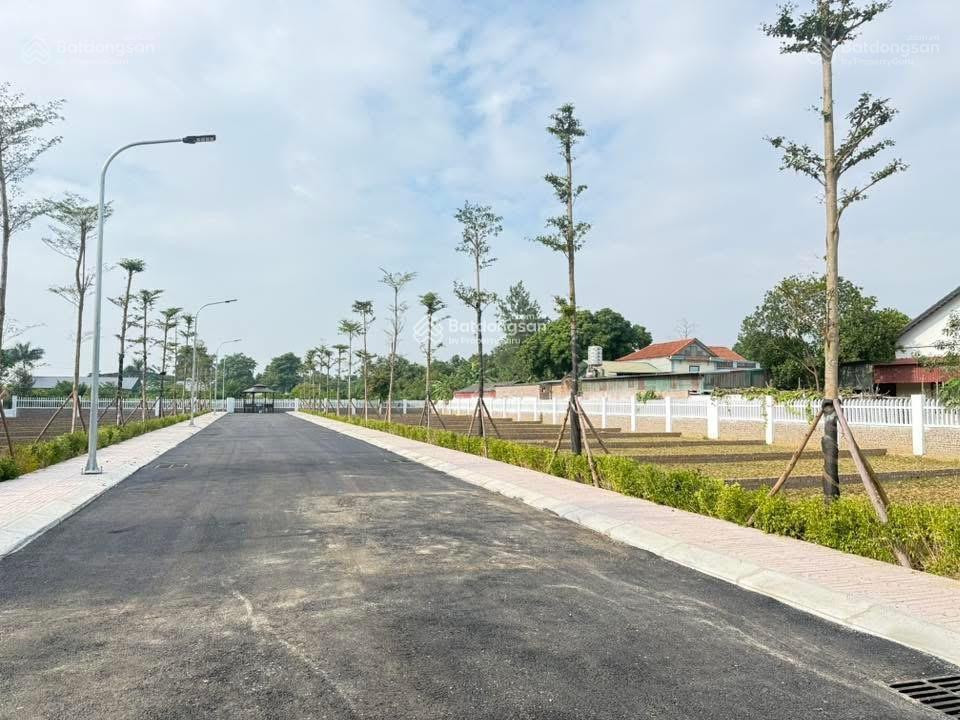 Bán đất tại minh phú sóc sơn chính chủ  0981 288 ***