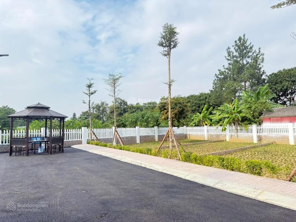 Bán đất tại minh phú sóc sơn chính chủ  0981 288 ***